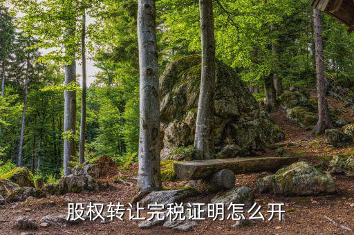 合肥股權轉讓如何開具完稅證明，完稅證明怎么開 如何開具稅收完稅證明