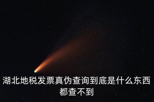 湖北地稅發票真偽查詢到底是什么東西都查不到