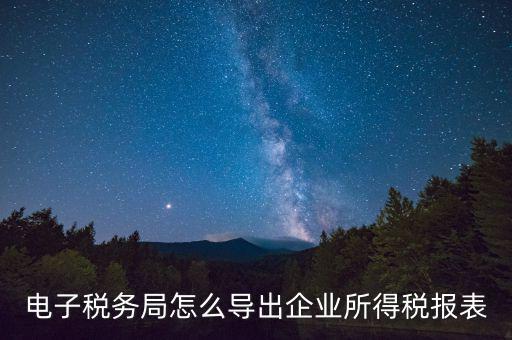 電子稅務局怎么導出企業所得稅報表