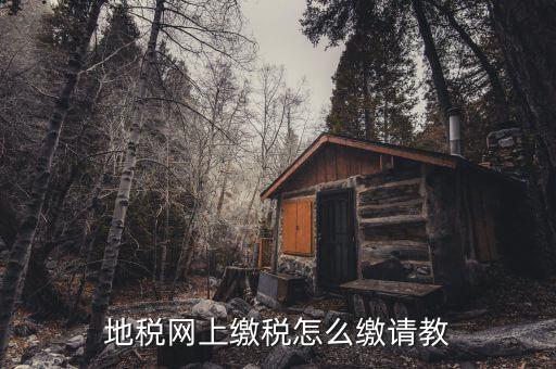 地稅如何交稅嗎，地稅網上繳稅怎么繳請教