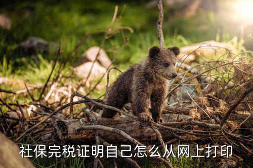 社保完稅證明自己怎么從網上打印