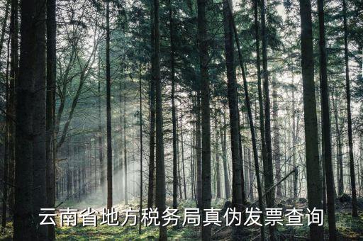 如何查詢云南國稅發票真偽查詢，云南省地方稅務局真偽發票查詢
