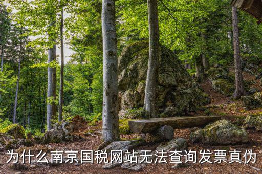 為什么南京國稅網站無法查詢發票真偽