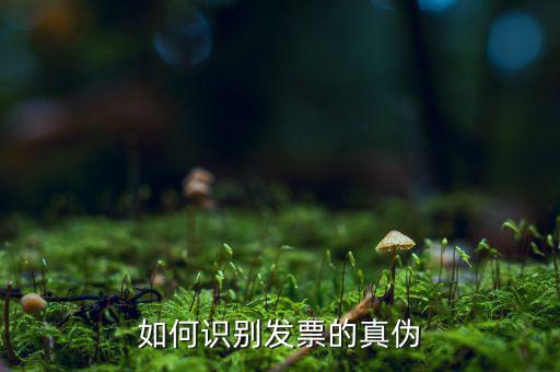如何識別發票的真偽