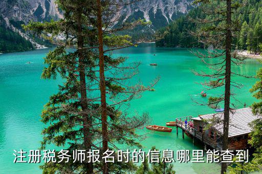 如何查詢注冊稅務師信息，注冊稅務師報名時的信息哪里能查到
