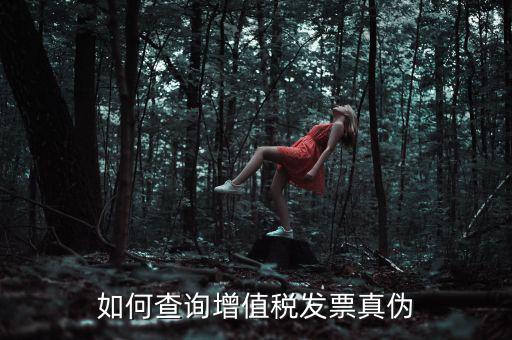 如何查詢增值稅發票真偽