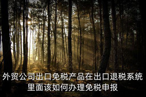外貿公司出口免稅產品在出口退稅系統里面該如何辦理免稅申報