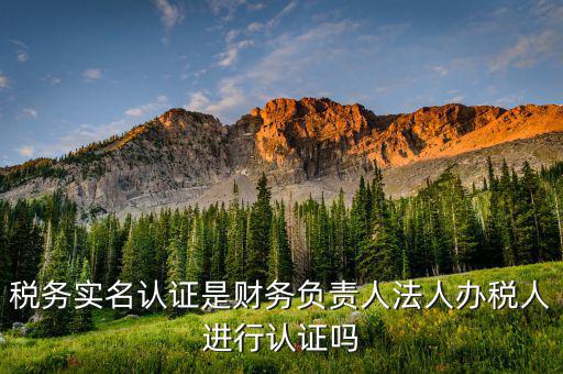 四川稅務如何實名認證，四川省國稅網上認證系統由那家公司提供服務
