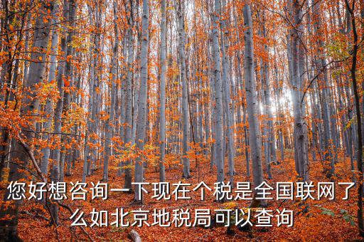 您好想咨詢一下現在個稅是全國聯網了么如北京地稅局可以查詢