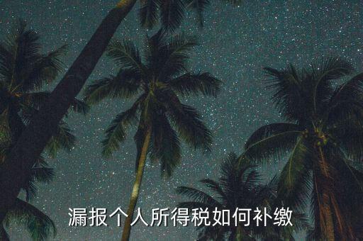 安徽省個稅如何補充申報，漏報個人所得稅如何補繳