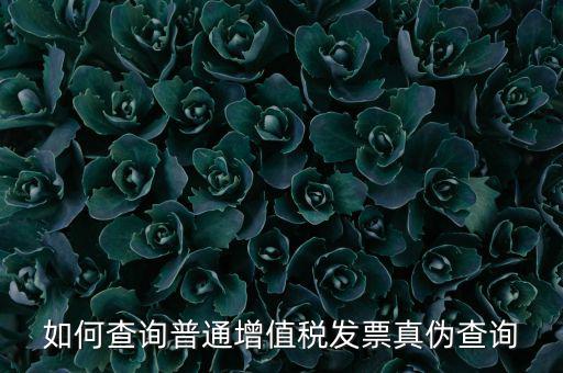 如何查詢普通增值稅發票真偽查詢