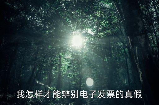 我怎樣才能辨別電子發票的真假