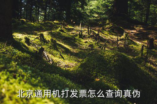 北京通用機打發票怎么查詢真偽