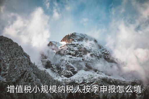 小規模納稅人如何按季申報，增值稅小規模納稅人按季申報怎么填
