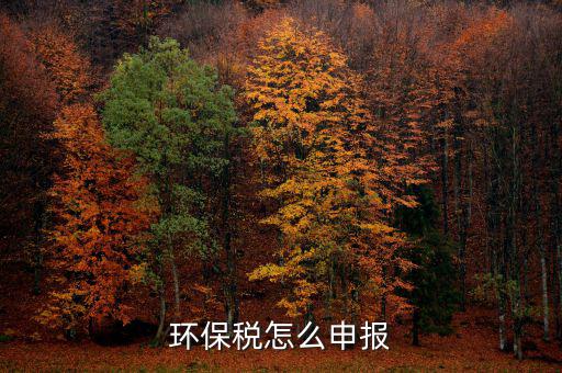 環保稅怎么申報