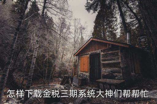 如何下載陜西金稅三期，金稅三期個(gè)人所得稅扣繳系統(tǒng)從哪里下載