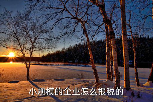 小企業(yè)會計如何報國稅，企業(yè)會計報稅流程是怎么樣的