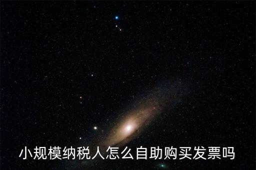 小規模納稅人怎么自助購買發票嗎
