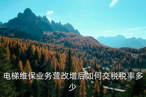 維保電梯如何納稅，麻煩問一下電梯維護(hù)與保養(yǎng)納什么稅稅率是多少 如果我公司銷售