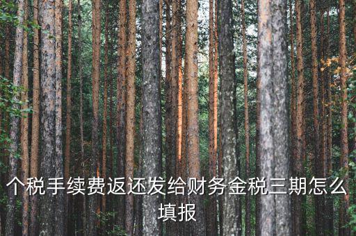 金稅三期獲如何連接稅務局，金稅三期個人所得稅扣繳系統(tǒng)怎樣連接地稅