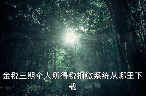 金三個稅申報系統如何下載，金稅三期個人所得稅扣繳系統從哪里下載