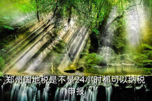 鄭州如何進行地稅網上申報，鄭州國地稅是不是24小時都可以納稅申報