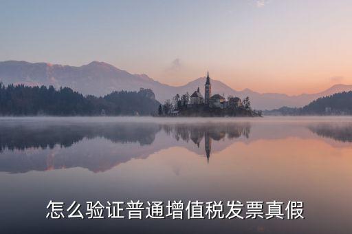 怎么驗證普通增值稅發票真假