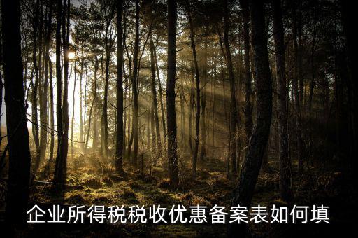 如何填寫企業所得稅優惠事項備案表，企業所得稅減免稅備案表填寫