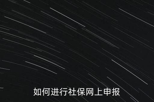 如何進行社保網上申報