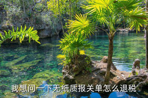 我想問一下無紙質報關單怎么退稅