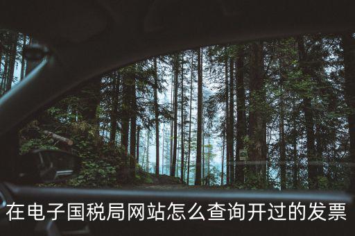如何查詢電子發票信息，在電子國稅局網站怎么查詢開過的發票