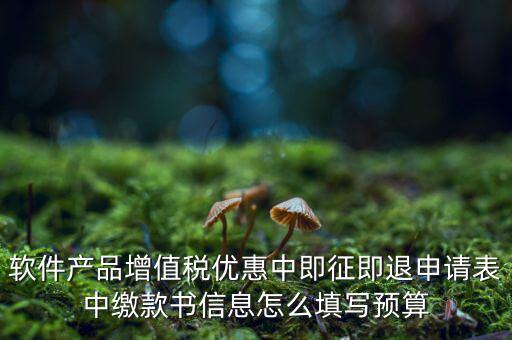 即征即退的退稅申請表如何填寫，軟件產品增值稅優惠中即征即退申請表中繳款書信息怎么填寫預算