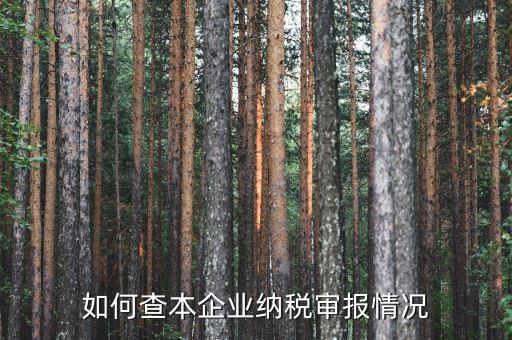 如何查詢公司納稅情況，如何查本企業納稅審報情況