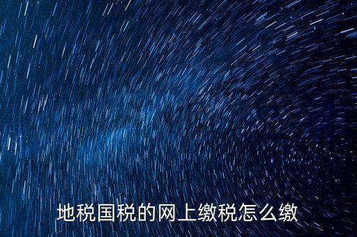 地稅國稅的網上繳稅怎么繳