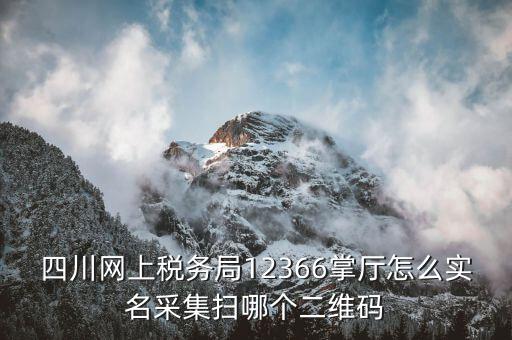 四川網上稅務局12366掌廳怎么實名采集掃哪個二維碼