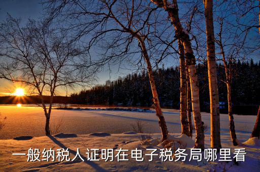 電子稅務局如何查詢稅務登記證，一般納稅人證明在電子稅務局哪里看