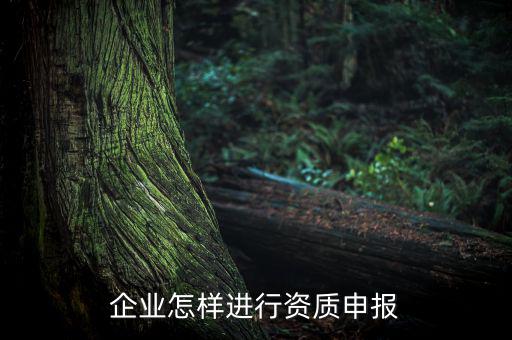 如何介質申報，油罐車介質怎么規定