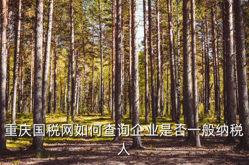 重慶國稅網如何查詢企業是否一般納稅人