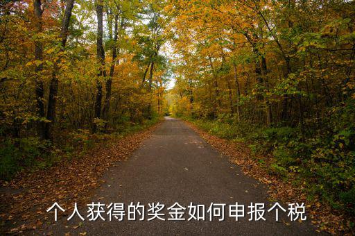 如何將獎金的稅款繳納至稅務局，個人獲得的獎金如何申報個稅