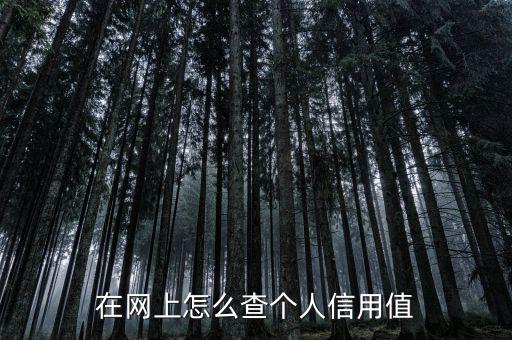 在網上怎么查個人信用值