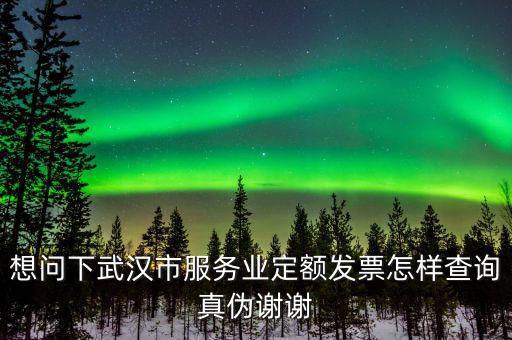 想問下武漢市服務業定額發票怎樣查詢真偽謝謝