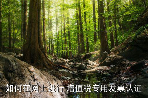 增值稅專用票如何在網上申請，購買增值稅專用發票要先在網上怎么操作