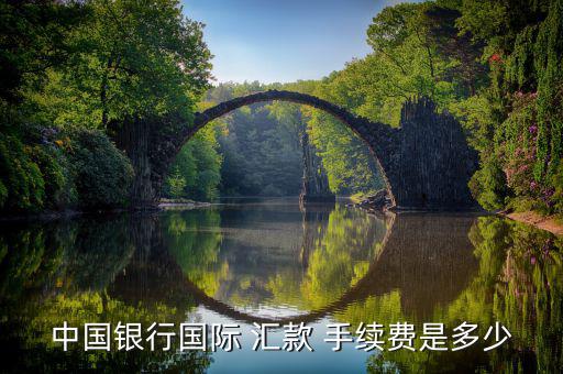 從柜臺匯款手續費怎么算,中國大陸新加坡元人民幣匯款