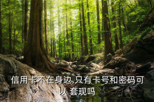 信用卡怎么套現安全,用卡套現或構成信用卡詐騙罪量刑標準