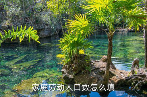 家庭勞動人口數怎么填