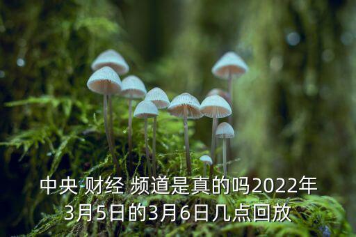 財經頻道節目怎么回看,湖北電視臺頻道推出回看功能