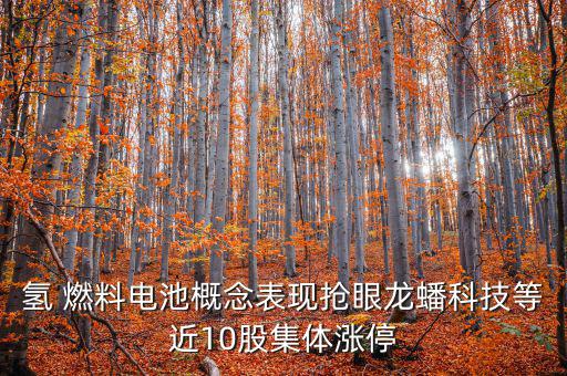 氫 燃料電池概念表現搶眼龍蟠科技等近10股集體漲停