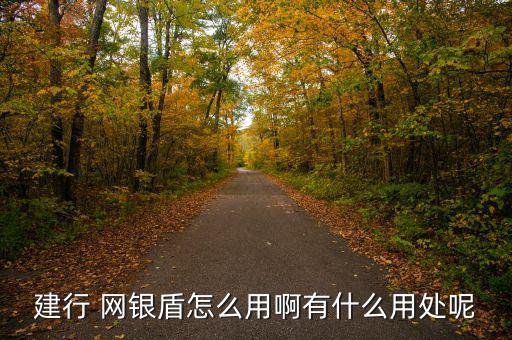 建行 網銀盾怎么用啊有什么用處呢