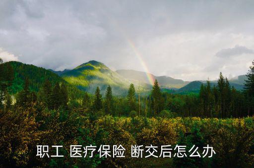 職工 醫療保險 斷交后怎么辦