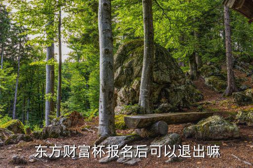 點融網東方團怎么退出,東方財富杯金融精英挑戰(zhàn)賽注意事項